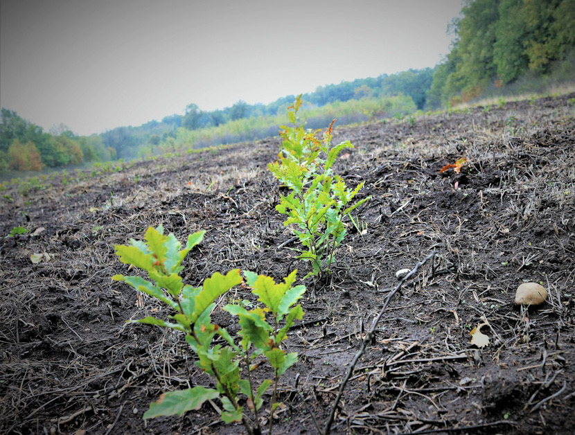 A71B9091-2119-4A3E-89D2-FE7D04C467F2