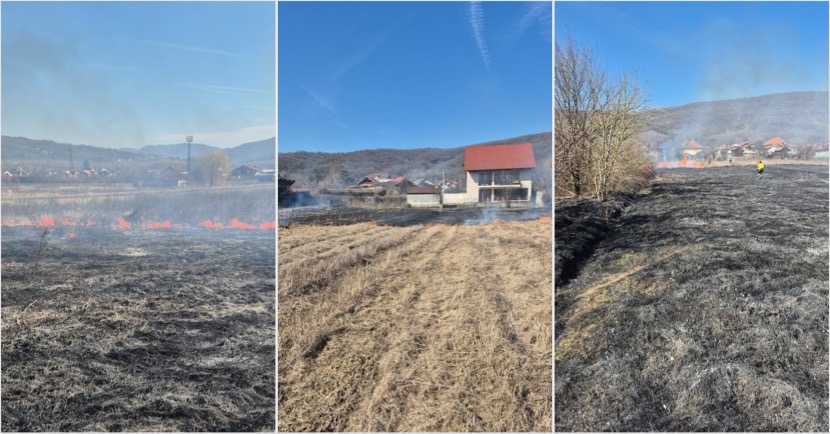 D8C0F86D-5720-48B5-8A06-E89061866E99