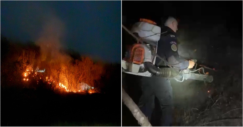 FOTO/VIDEO. Incendiu de pădure în Râmnicu Vâlcea. Intervenție rapidă…