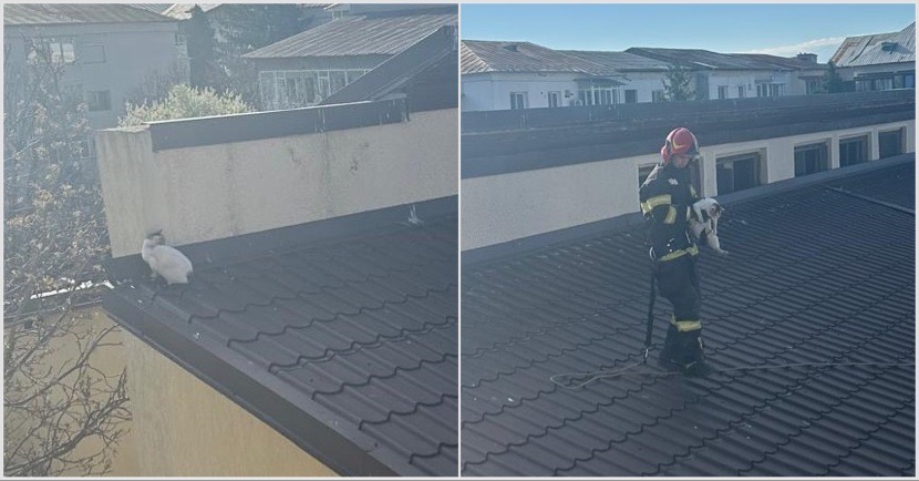 1606DE15-17D8-4D7B-BB0E-6DA39A2FE161