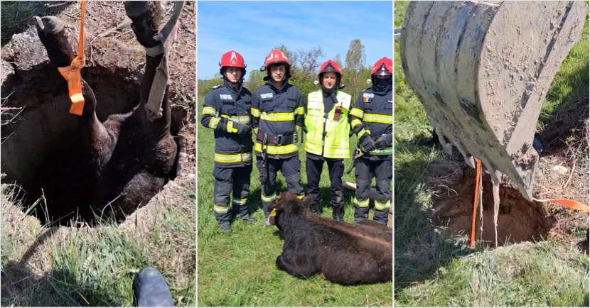 161D90DA-3510-42B2-BBB7-753A083D28EE