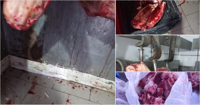 1DFED681-3D43-4252-9EA1-AA121B680A24