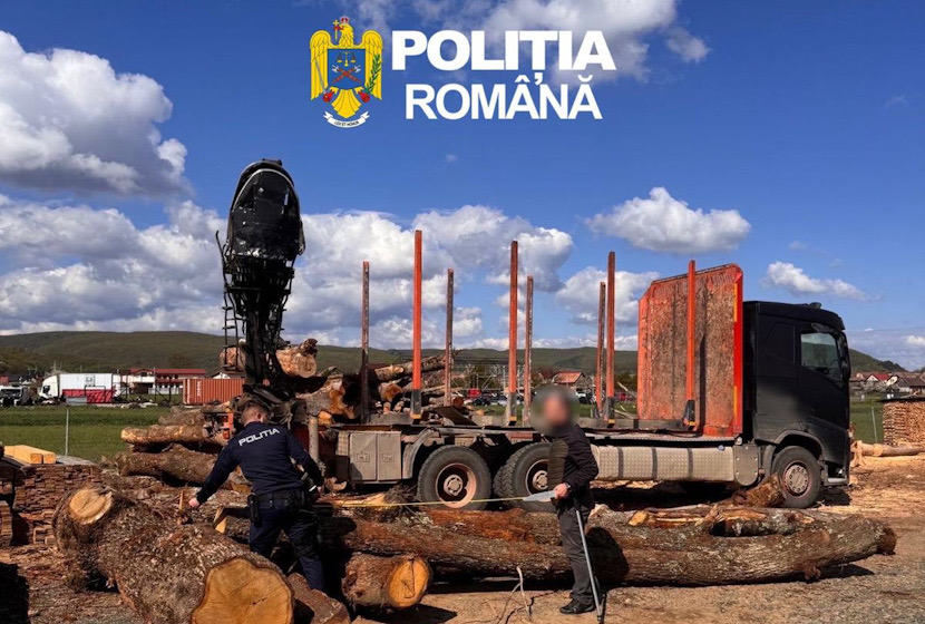 Lemne politie silvic