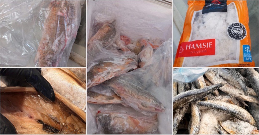 7CBE4AED-345F-44CC-B74C-637DFC9DE99F