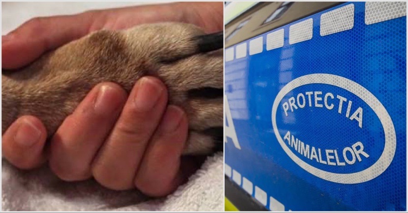 9946243C-3F42-45AF-B95F-CF5E48012418