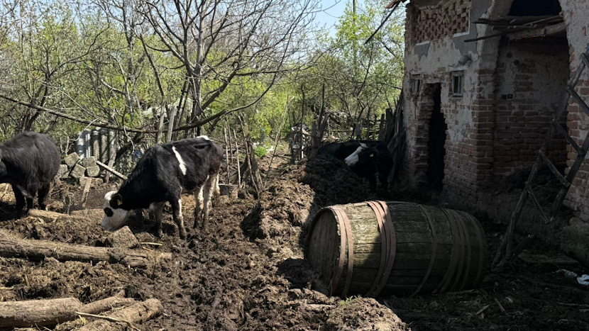 99A04AA0-8A44-4351-A621-18AB659AF6DD