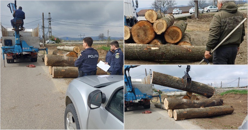 FOTO/Vâlcea: camion cu mai mult lemn decât în acte, oprit de polițiști