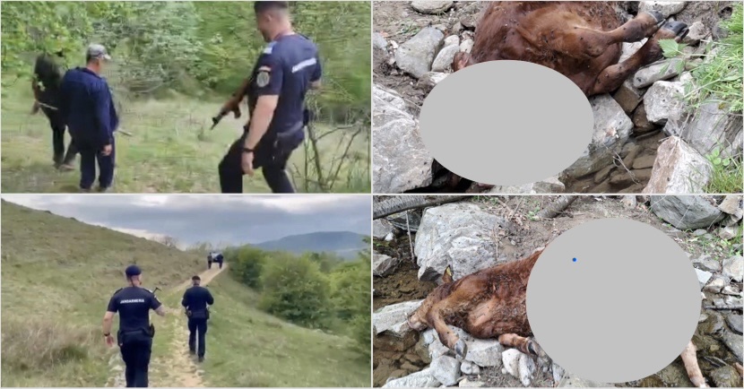 B423EBF0-1B27-4843-A8EF-1E8FB9513054