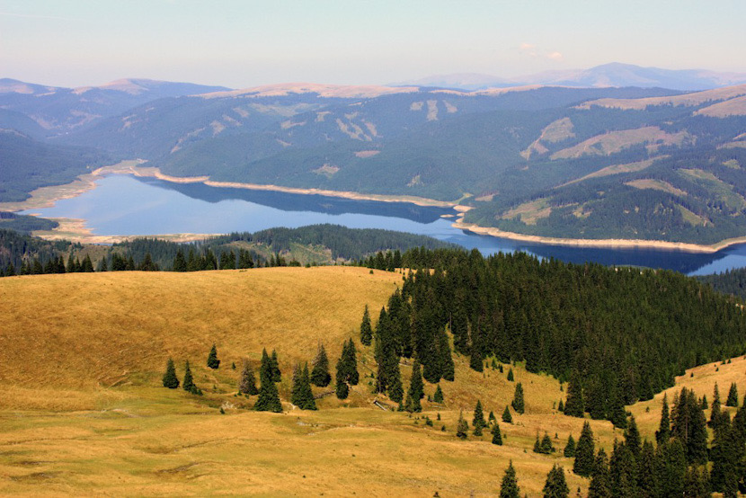 Pasune alpina Malaia