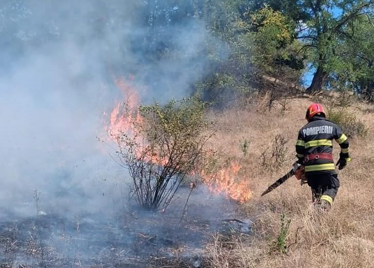 Incendiu vegetatie uscata general