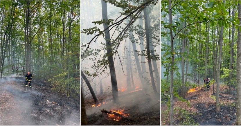 FOTO – Incendiu de pădure în zona Schitului Iezer. Pompierii intervin într-o zonă greu accesibilă